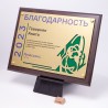 Плакетка резная спортивная. Земля. PN3185